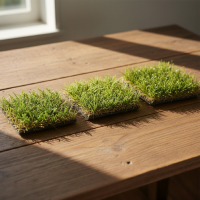 Vzorka umelej trávy zdarma