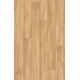 PVC podlaha Expoline Golden Oak 060L