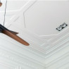 ORAC stropné, podlahová a lemovacie lišta SX157
