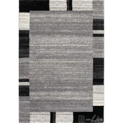AKCIA: 120x170 cm Kusový koberec Amrit 152 silver