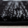 AKCIA: 120x170 cm Kusový koberec Miami 6620 black