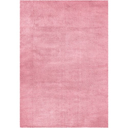 Kusový koberec Delgardo 501-07 Rose