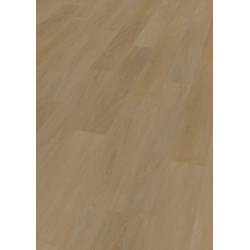 Vinylová podlaha lepená ECO 55 064 English Oak Honey