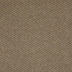 AKCIA: 39x407 cm Metrážny koberec Rubens 67