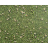 PVC podlaha Playtec 2502 Daisies