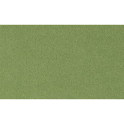 Metrážový koberec Bingo 4H17 zelený