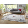 AKCIA: 160x220 cm Kusový koberec Opulence 104711 Silver-multicolored