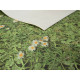 PVC podlaha - lino Tex-Maxima 2002 Daisies