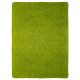 AKCIA: 120x160 cm Kusový koberec Color shaggy zelený