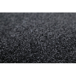 Metrážny koberec Nano Smart 800 čierny