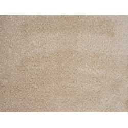 AKCIA: 95x545 cm Metrážny koberec Gloria 04