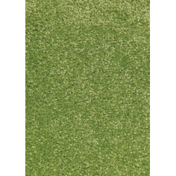 AKCIA: 67x120 cm Kusový koberec Nasty 101149 Grün