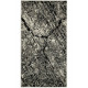 Kusový koberec Phoenix 3033-244