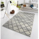 AKCIA: 200x290 cm Kusový koberec Capri 102552