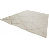 AKCIA: 80x150 cm Kusový koberec Allure 102749 creme rosa