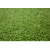 Kusový koberec Color shaggy zelený srdce
