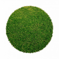 Kruhový trávny koberec Botanic