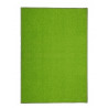 Kusový koberec Eton zelený 41