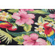 Kusový koberec Flair 105619 Tropical Feeling Multicolored – na von aj na doma