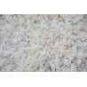 DOPREDAJ: 120x170 cm Kusový koberec Pearl White
