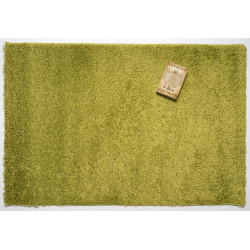 Kusový koberec Efor Shaggy 1903 Green
