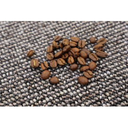 Metrážny koberec Neapol 4719 - neúčtujeme odrezky z role