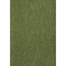 AKCIA: 80x150 cm Kusový koberec Nano Smart 591 zelený