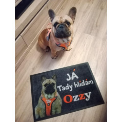 Rohožka s vlastním potiskem (logem) na míru MK415 Velour - na ven i na doma