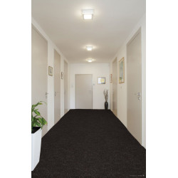 Čistiaca zóna Parijs 10 hnedočervená