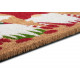 Rohožka Mix Mats Cocos 105674