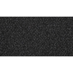 AKCIA: 200x770 cm Čistiaca zóna Robust 130 čierna