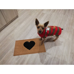 Rohožka srdce kokos 105672 – na von aj na doma