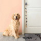 Protišmyková rohožka Life is better with a dog 104490 Grey / Brown – na von aj na doma