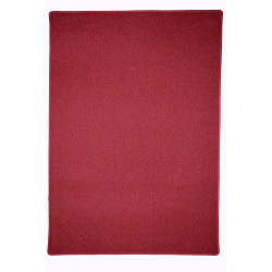 AKCIA: 80x150 cm Kusový koberec Astra červená