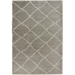 AKCIA: 120x170 cm Kusový koberec Allure 102752 grau creme
