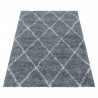 AKCIA: 160x230 cm Kusový koberec Alvor Shaggy 3401 grey