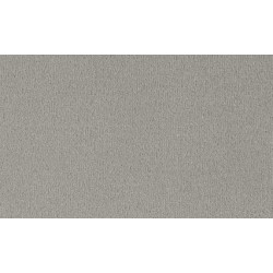 AKCIA: 133x250 cm Metrážny koberec Bingo 5Y91 svetlo šedý