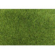 AKCIA: 158x248 cm Trávny koberec Belairparq metrážny