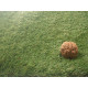 AKCIA: 70x200 cm Umelá tráva Rosemary metráž