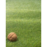 AKCIA: 98x2400 cm Umelá tráva Rosemary metráž