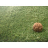 AKCIA: 400x400 cm Umelá tráva Rosemary metráž