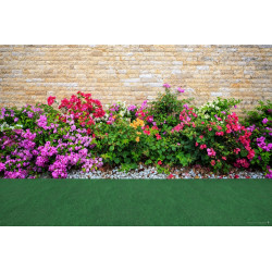 Umělá tráva Sporting Ultra metrážní - neúčtujeme odřezky z role