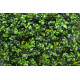 Umelý rastlinný panel MIX VERT 50 x 50 cm