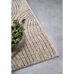 Behúň Gallery 106084 Beige z kolekcie Elle