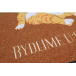 Rohožka Bývame u svojej mačky 40x60 cm