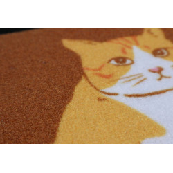 Rohožka Bývame u svojej mačky 40x60 cm