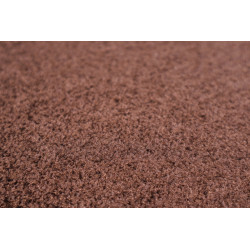 Rohožka Care & Clean brown