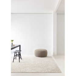 Kusový koberec Piazzo 12268 100