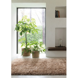 Kusový koberec Rhapsody 2501 600