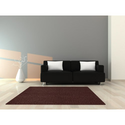 AKCIA: 160x230 cm Kusový koberec Nano Smart 302 vínový